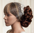 Birdcage veil wedding veil Ivory Diamante and Pearl arched comb.